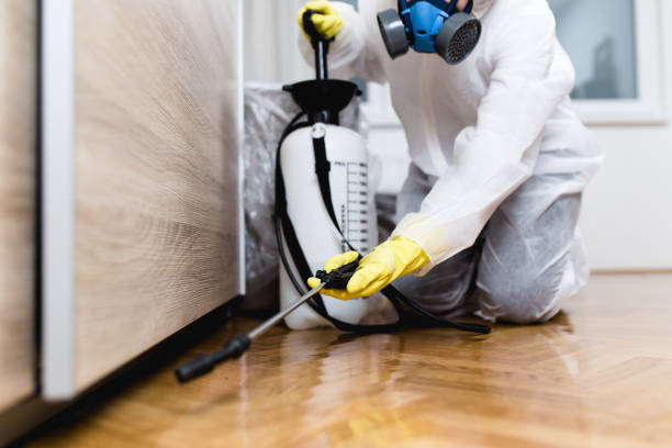 Best Flea Control Services  in La Fayette, AL