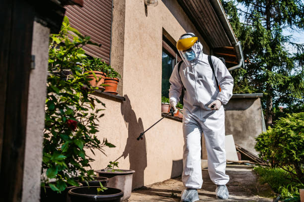 Best Affordable Pest Control Services  in La Fayette, AL