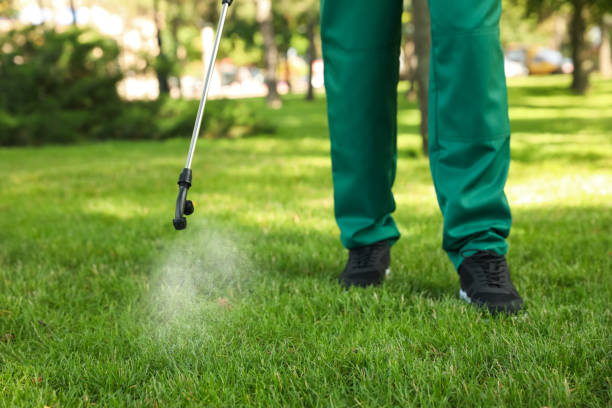 Best Commercial Pest Control Services  in La Fayette, AL