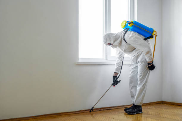 Professional Pest Control in La Fayette, AL