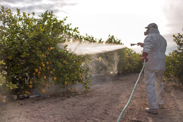 Best Pest Control for Restaurants  in La Fayette, AL