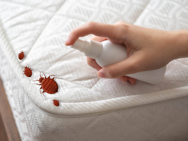 Best Mosquito Control Services  in La Fayette, AL