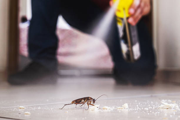 Best Pest Control Near Me in La Fayette, AL