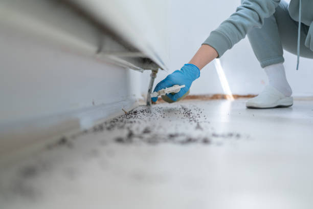 Best Pest Removal Services  in La Fayette, AL