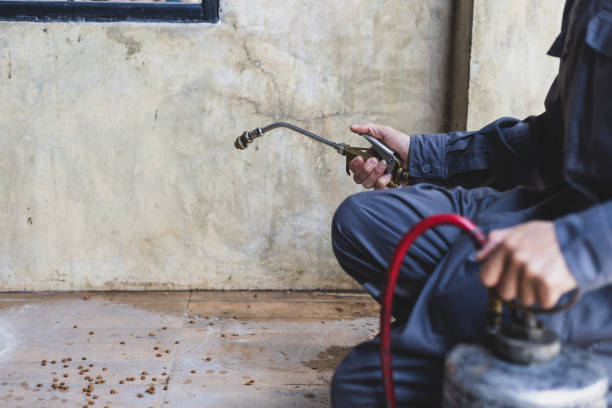 Best Best Pest Control Near Me  in La Fayette, AL